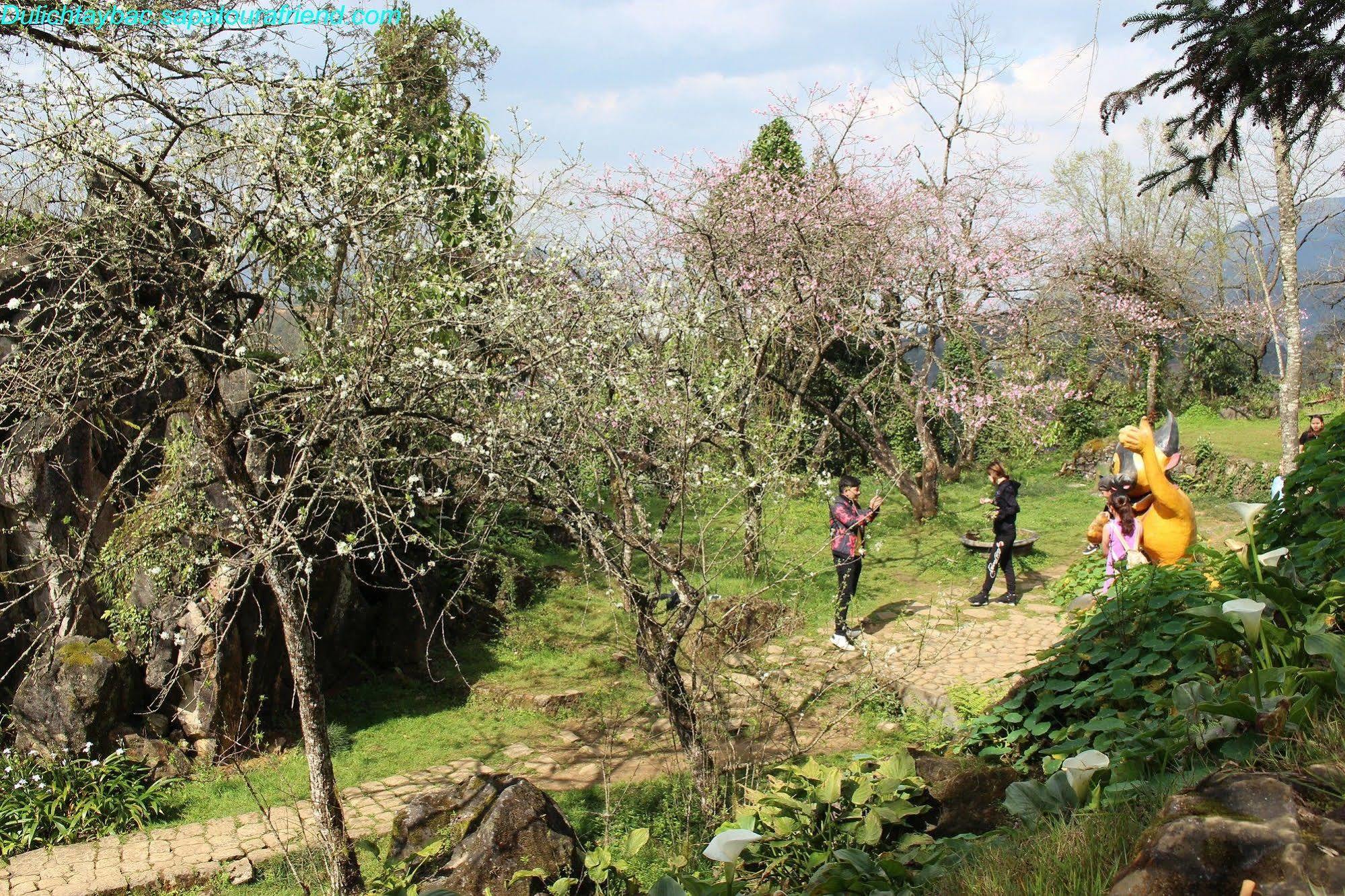 Sapa Sunflower Hotel Εξωτερικό φωτογραφία